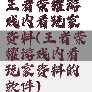 王者荣耀游戏内看玩家资料(王者荣耀游戏内看玩家资料的软件)