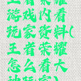 王者荣耀游戏内看玩家资料(王者荣耀怎么看大神玩家)