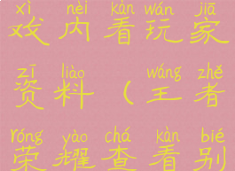 王者荣耀游戏内看玩家资料(王者荣耀查看别人资料)