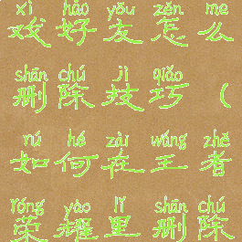 王者荣耀游戏好友怎么删除技巧(如何在王者荣耀里删除游戏好友)