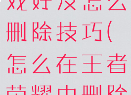 王者荣耀游戏好友怎么删除技巧(怎么在王者荣耀中删除游戏好友)