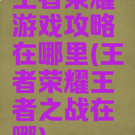 王者荣耀游戏攻略在哪里(王者荣耀王者之战在哪)