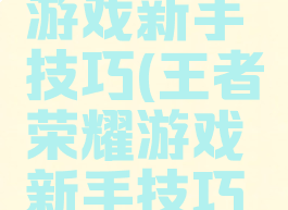 王者荣耀游戏新手技巧(王者荣耀游戏新手技巧大全)