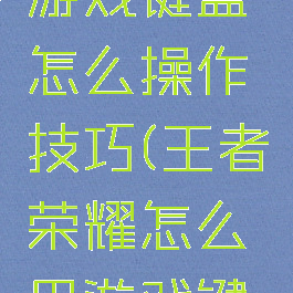 王者荣耀游戏键盘怎么操作技巧(王者荣耀怎么用游戏键盘)