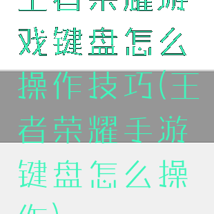 王者荣耀游戏键盘怎么操作技巧(王者荣耀手游键盘怎么操作)