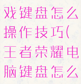 王者荣耀游戏键盘怎么操作技巧(王者荣耀电脑键盘怎么操作)