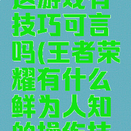 王者荣耀这游戏有技巧可言吗(王者荣耀有什么鲜为人知的操作技巧)