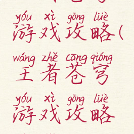 王者苍穹游戏攻略(王者苍穹游戏攻略技巧)