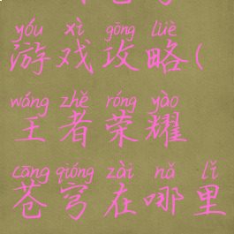 王者苍穹游戏攻略(王者荣耀苍穹在哪里)