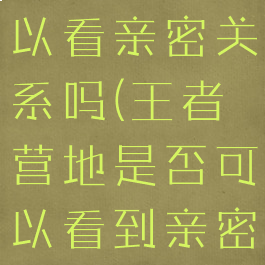 王者营地可以看亲密关系吗(王者营地是否可以看到亲密关系)
