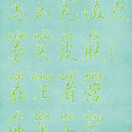 王者营地怎么充值点券买皮肤(在王者营地怎么充值点券)