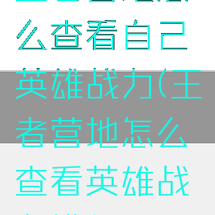 王者营地怎么查看自己英雄战力(王者营地怎么查看英雄战力排名)