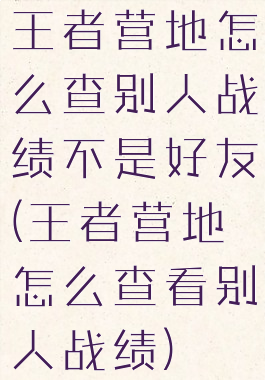 王者营地怎么查别人战绩不是好友(王者营地怎么查看别人战绩)