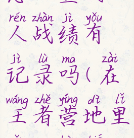 王者营地怎么查别人战绩有记录吗(在王者营地里怎么看别人战绩)