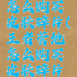 王者营地怎么购买皮肤碎片(王者营地怎么购买皮肤碎片划算)