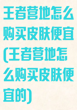 王者营地怎么购买皮肤便宜(王者营地怎么购买皮肤便宜的)