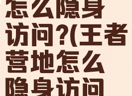 王者营地怎么隐身访问?(王者营地怎么隐身访问神秘人)