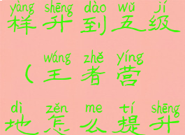 王者营地怎样升到五级(王者营地怎么提升到五级)