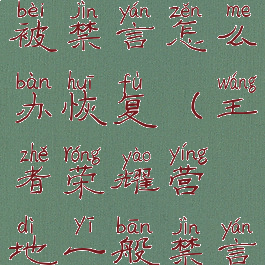 王者营地被禁言怎么办恢复(王者荣耀营地一般禁言多久)