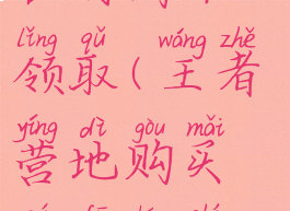 王者营地购买皮肤长时间不领取(王者营地购买皮肤长时间不领取会消失吗)