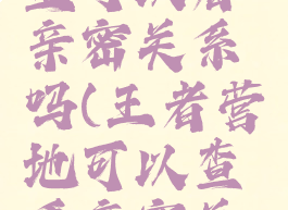 王者营地里可以看亲密关系吗(王者营地可以查看亲密关系吗)