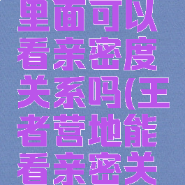 王者营地里面可以看亲密度关系吗(王者营地能看亲密关系么)