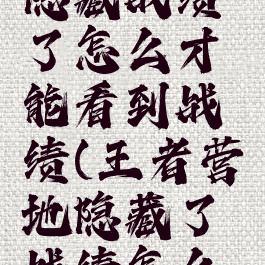 王者营地隐藏战绩了怎么才能看到战绩(王者营地隐藏了战绩怎么查看)
