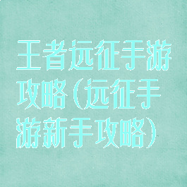 王者远征手游攻略(远征手游新手攻略)