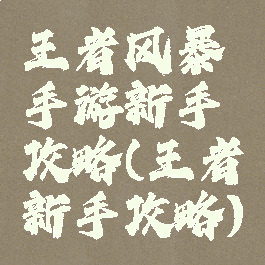 王者风暴手游新手攻略(王者新手攻略)
