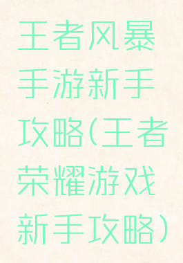 王者风暴手游新手攻略(王者荣耀游戏新手攻略)