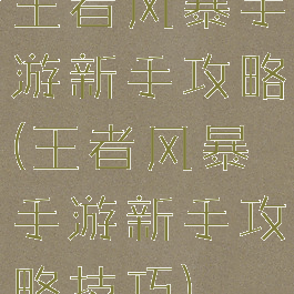 王者风暴手游新手攻略(王者风暴手游新手攻略技巧)
