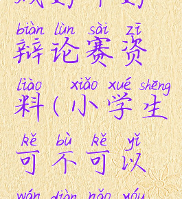 玩电脑游戏好不好辩论赛资料(小学生可不可以玩电脑游戏辩论赛)