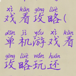 玩单机游戏看攻略(单机游戏看攻略玩还是自己玩)
