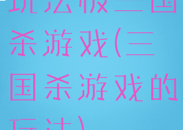 玩法极三国杀游戏(三国杀游戏的玩法)