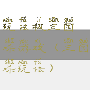 玩法极三国杀游戏(三国杀玩法)