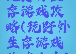玩野外生存游戏攻略(玩野外生存游戏攻略大全)