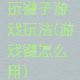 玩键子游戏玩法(游戏键怎么用)