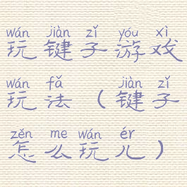玩键子游戏玩法(键子怎么玩儿)