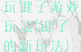 玩键子游戏玩法(键子的新玩法)