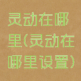灵动在哪里(灵动在哪里设置)