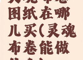 灵魂布卷图纸在哪儿买(灵魂布卷能做什么)