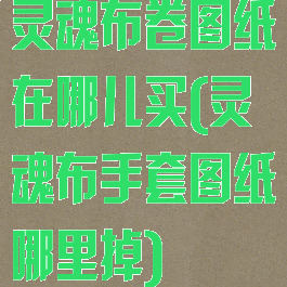 灵魂布卷图纸在哪儿买(灵魂布手套图纸哪里掉)