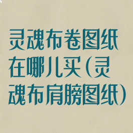 灵魂布卷图纸在哪儿买(灵魂布肩膀图纸)