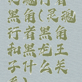 灵魂行者黑角(灵魂行者黑角和黑龙王子什么关系)