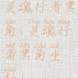 灵魂行者黑角(灵魂行者黑角坐标)