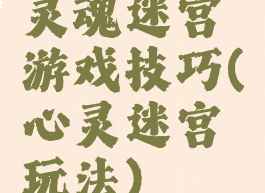 灵魂迷宫游戏技巧(心灵迷宫玩法)
