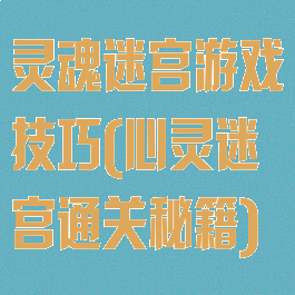 灵魂迷宫游戏技巧(心灵迷宫通关秘籍)