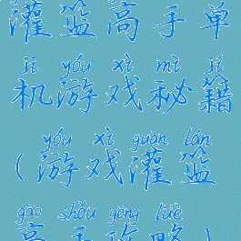 灌篮高手单机游戏秘籍(游戏灌篮高手攻略)