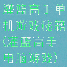灌篮高手单机游戏秘籍(灌篮高手电脑游戏)