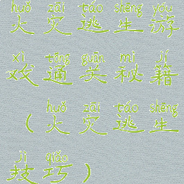 火灾逃生游戏通关秘籍(火灾逃生技巧)